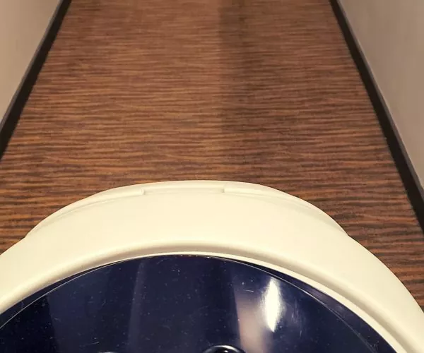 before and after carpet cleaning with axp carpet extractor
