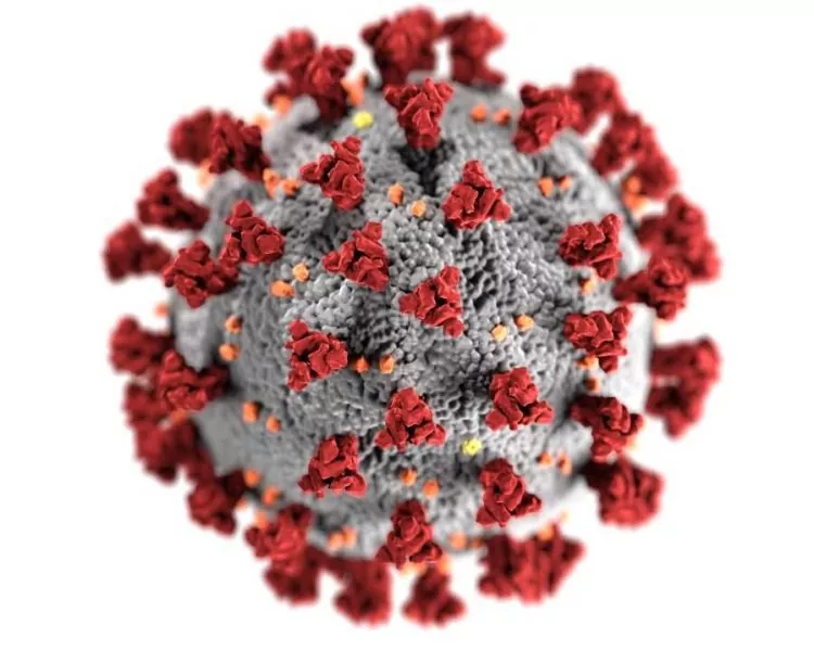 covid-19 disinfection